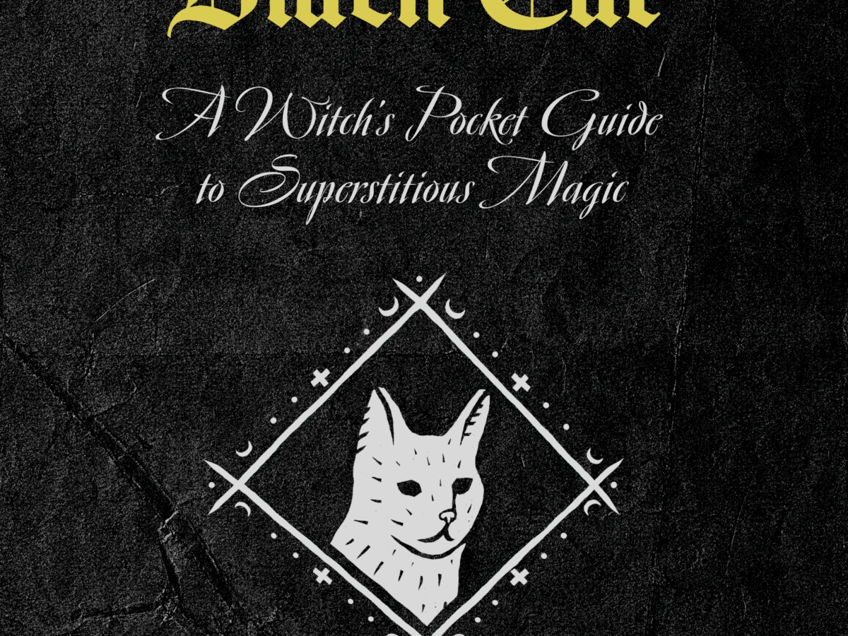 The Old Black&nbsp;Cat